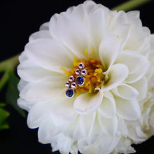 Load image into Gallery viewer, Organic Matter: Sapphire-14K Rose Gold Orb Stud Earrings
