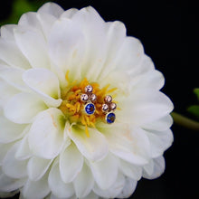 Load image into Gallery viewer, Organic Matter: Sapphire-14K Rose Gold Orb Stud Earrings
